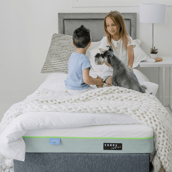 Double & Single Sibling Bundle with FREE Pillows - teddybed