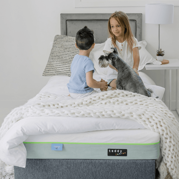 Twin Bundle 2x Single teddy junior with FREE Pillows - teddybed
